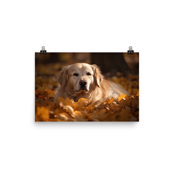 Golden Retriever in the Fall photo paper poster - Posterfy.AI