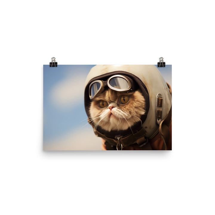 Exotic Shorthair Pilot Photo paper poster - PosterfyAI.com