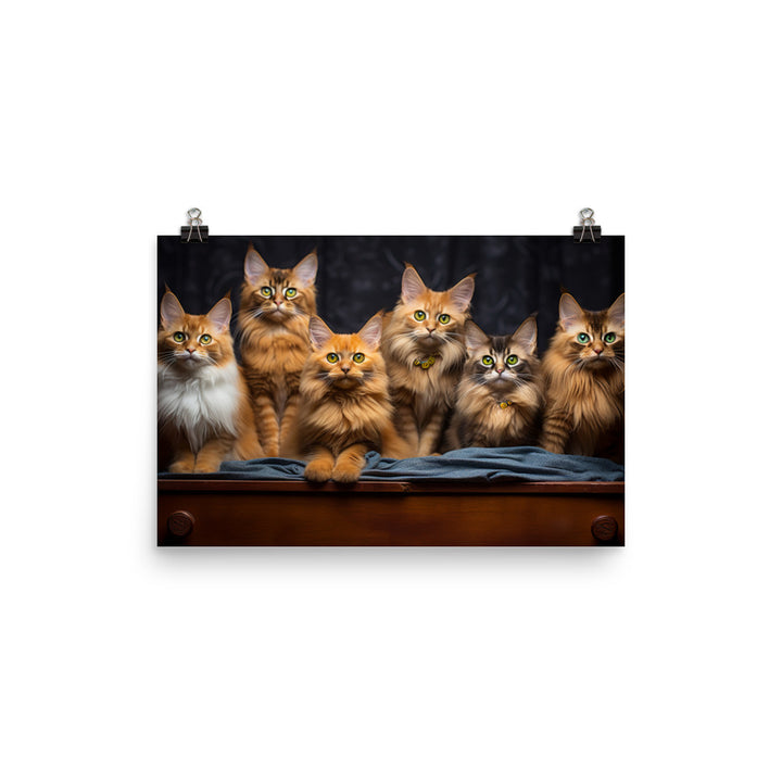 Somali Photo paper poster - PosterfyAI.com