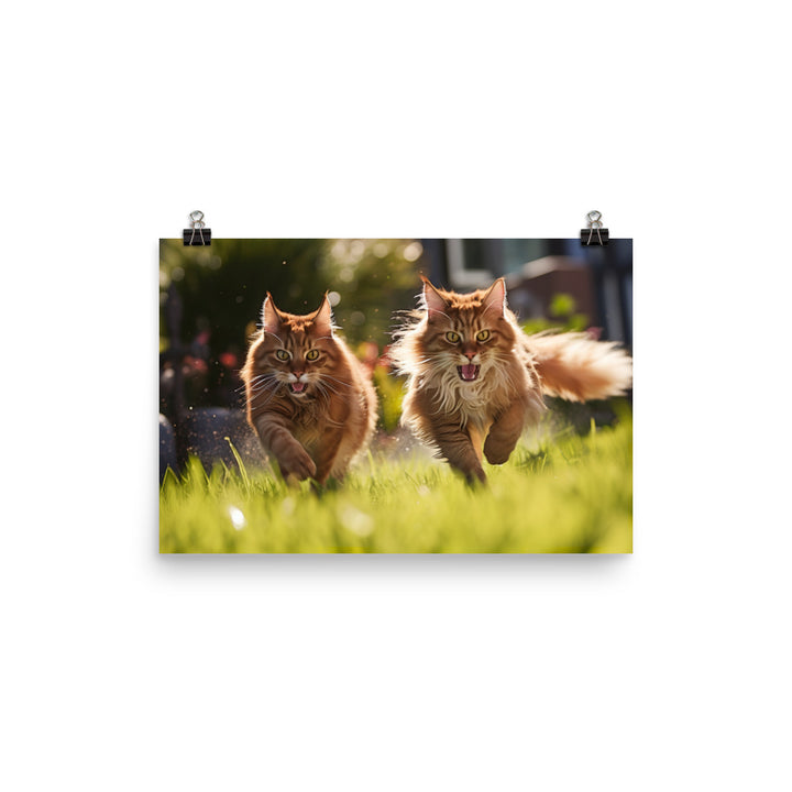 Somali Photo paper poster - PosterfyAI.com