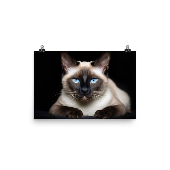 Siamese Photo paper poster - PosterfyAI.com
