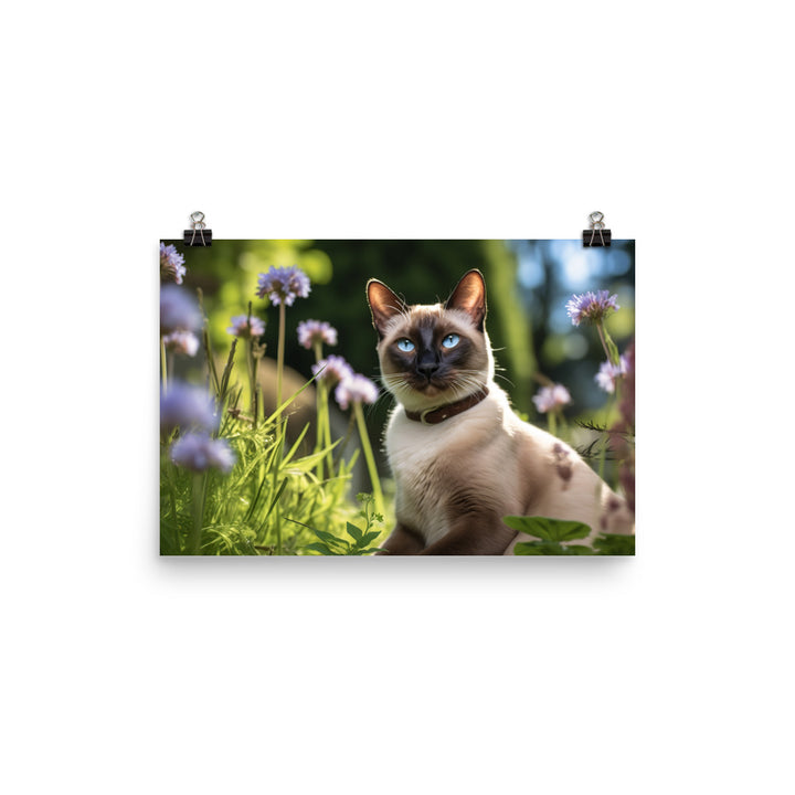 Siamese Photo paper poster - PosterfyAI.com