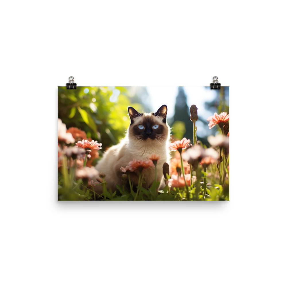 Siamese Photo paper poster - PosterfyAI.com