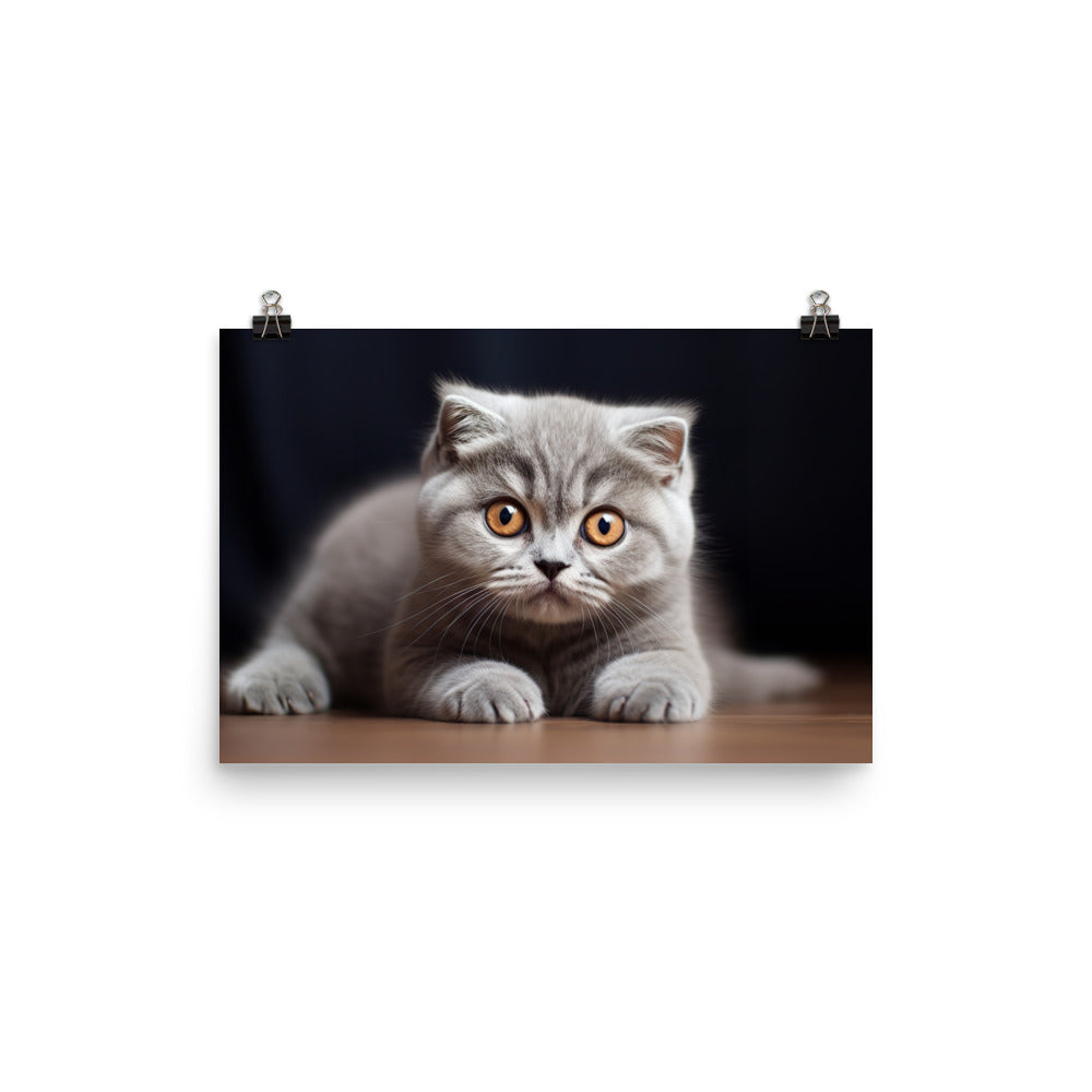 Scottish Fold Photo paper poster - PosterfyAI.com