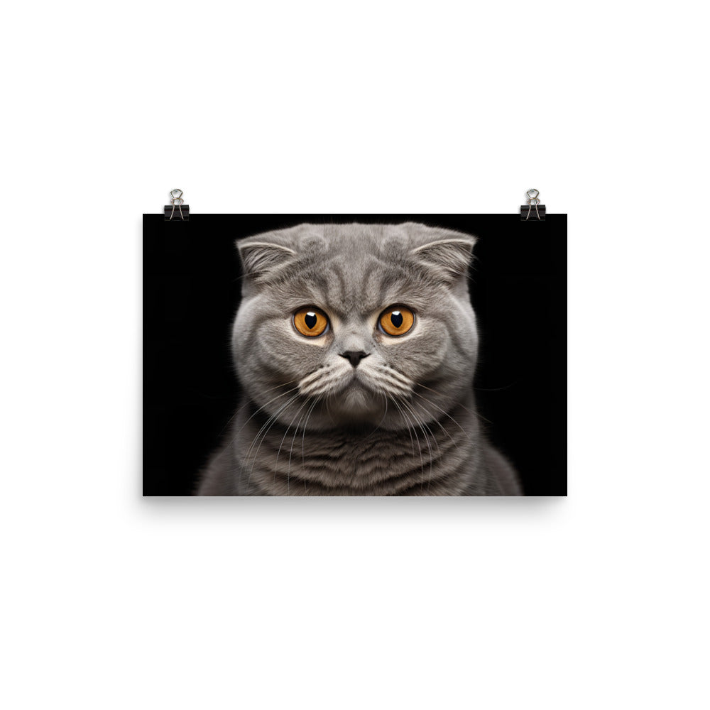 Scottish Fold Photo paper poster - PosterfyAI.com