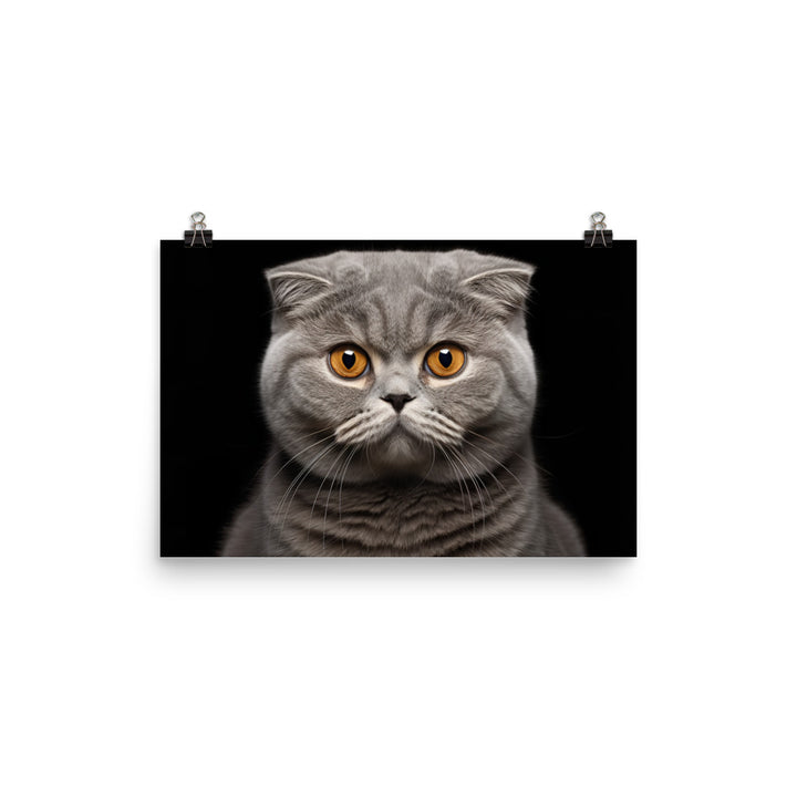 Scottish Fold Photo paper poster - PosterfyAI.com