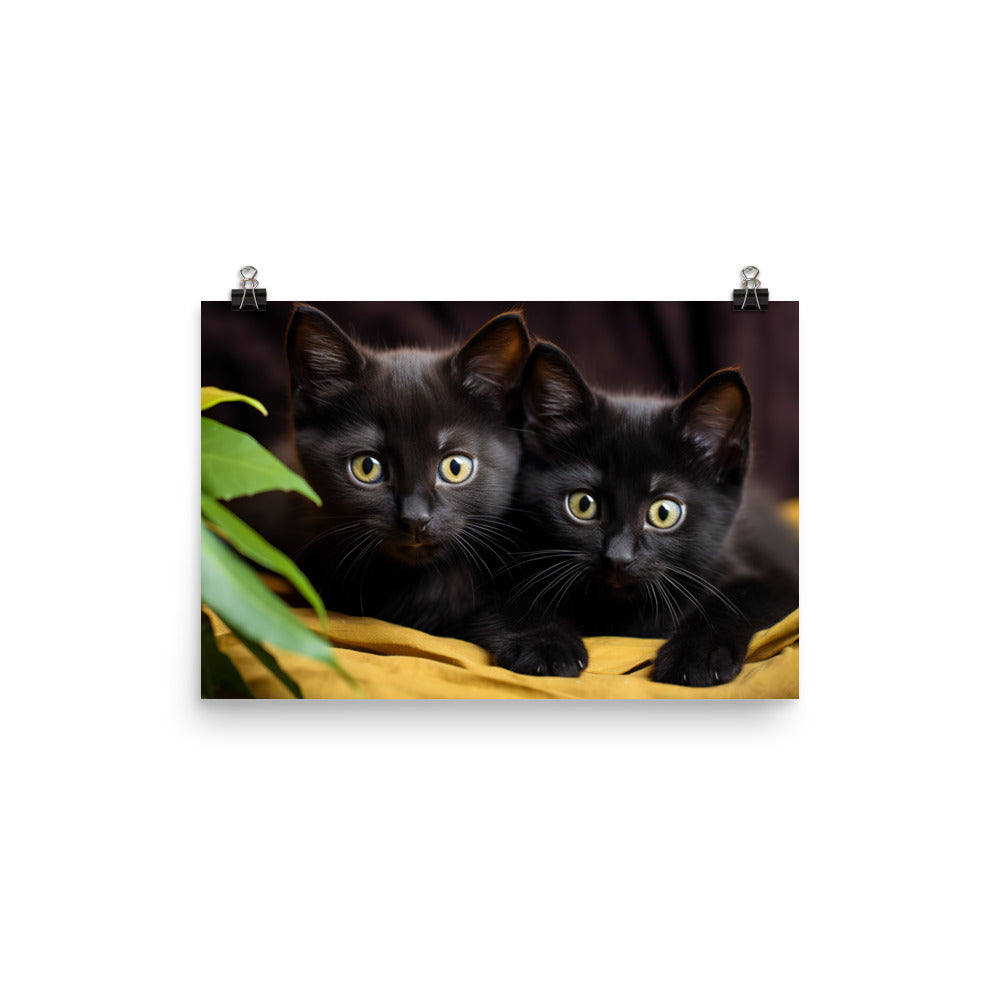 Bombay Photo paper poster - PosterfyAI.com