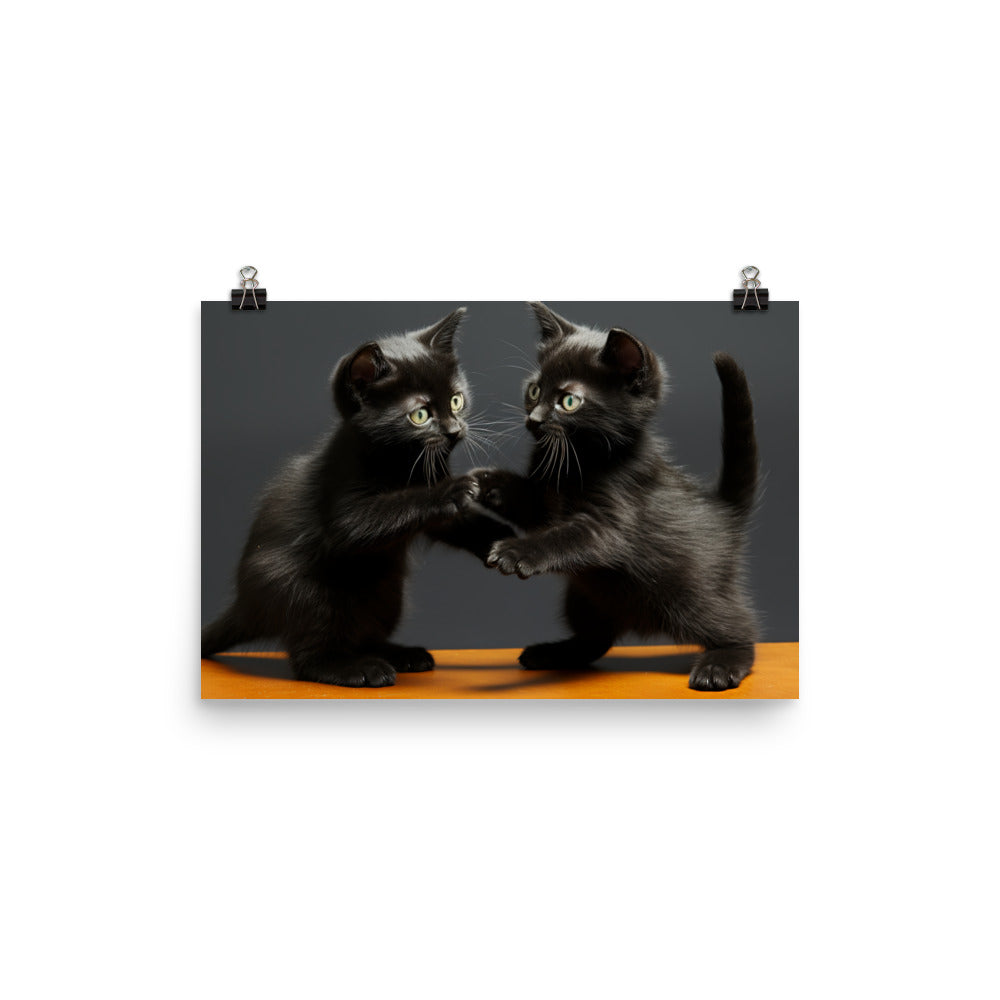 Bombay Photo paper poster - PosterfyAI.com