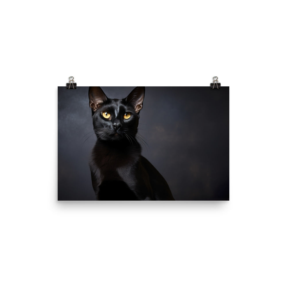 Bombay Photo paper poster - PosterfyAI.com