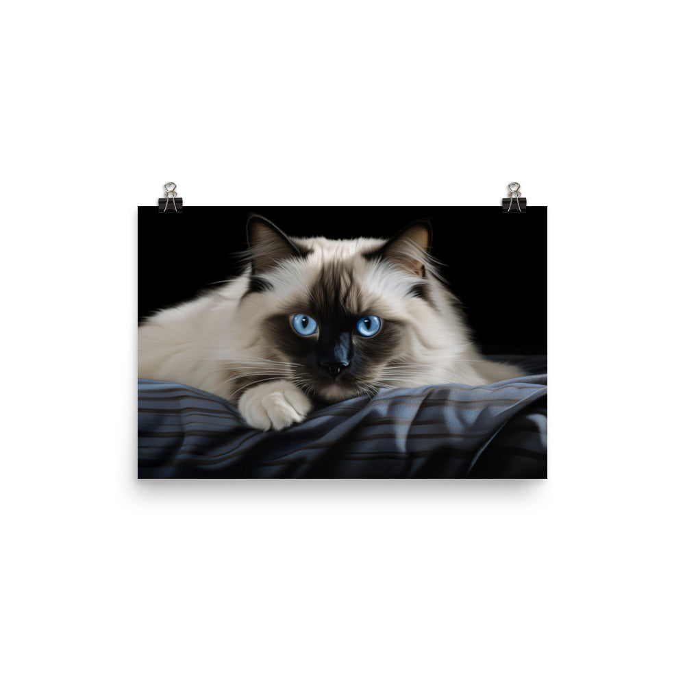 Birman Photo paper poster - PosterfyAI.com