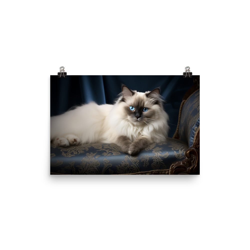 Birman Photo paper poster - PosterfyAI.com