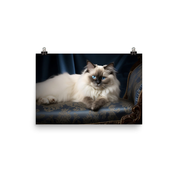 Birman Photo paper poster - PosterfyAI.com