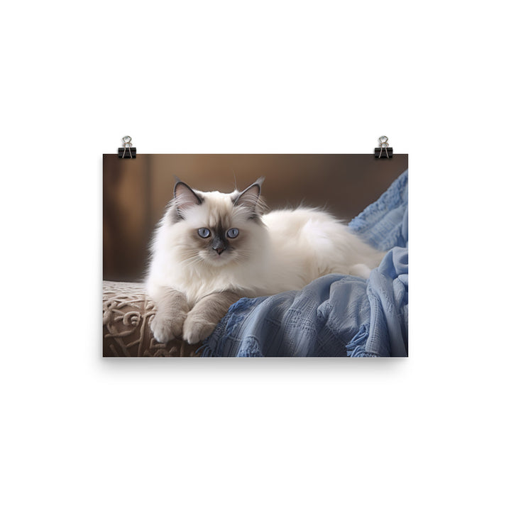 Birman Photo paper poster - PosterfyAI.com