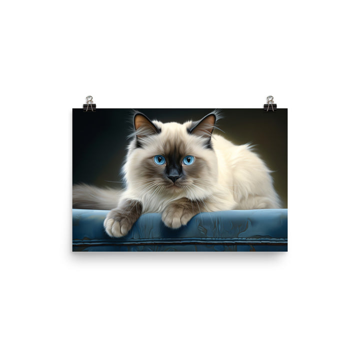 Birman Photo paper poster - PosterfyAI.com