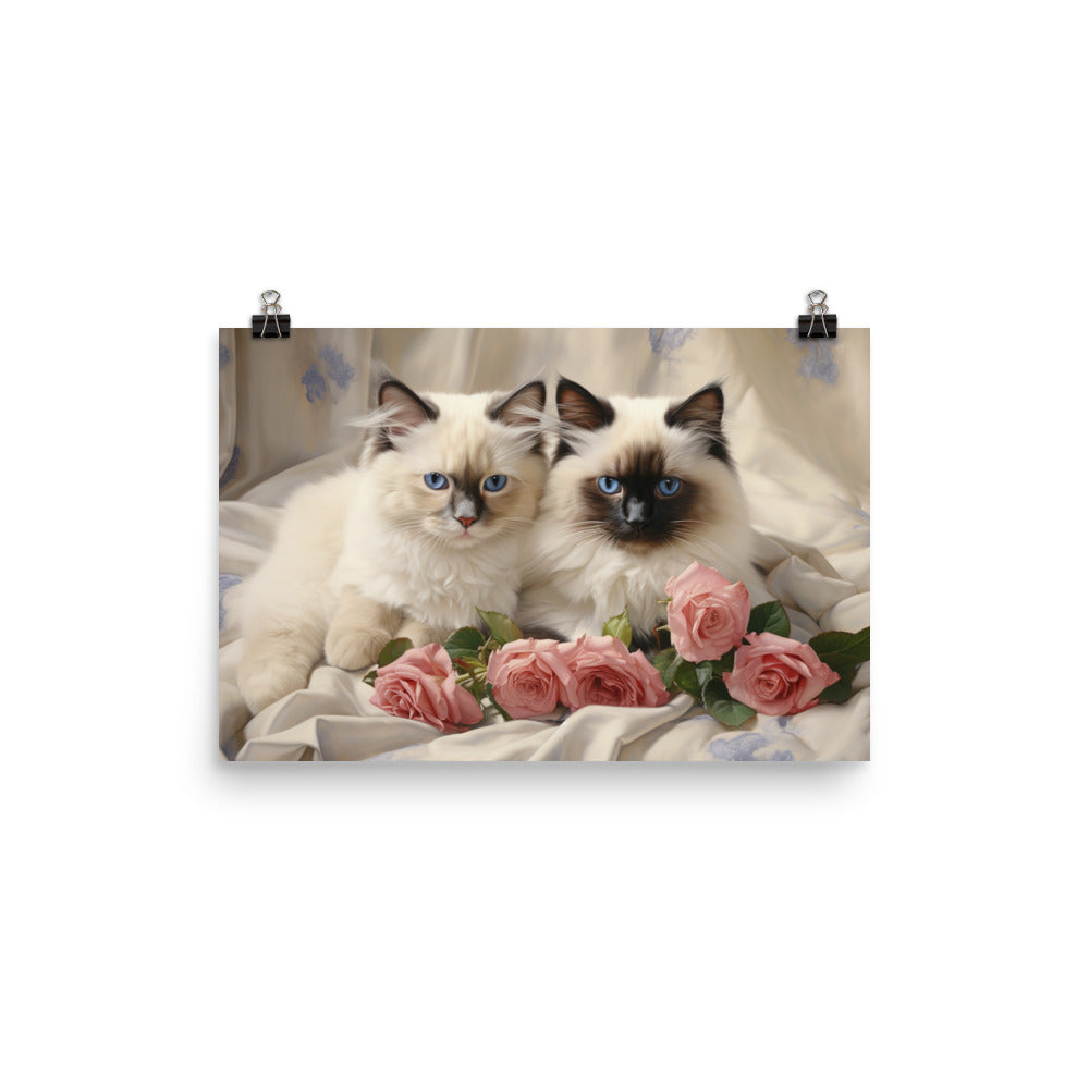 Birman Photo paper poster - PosterfyAI.com