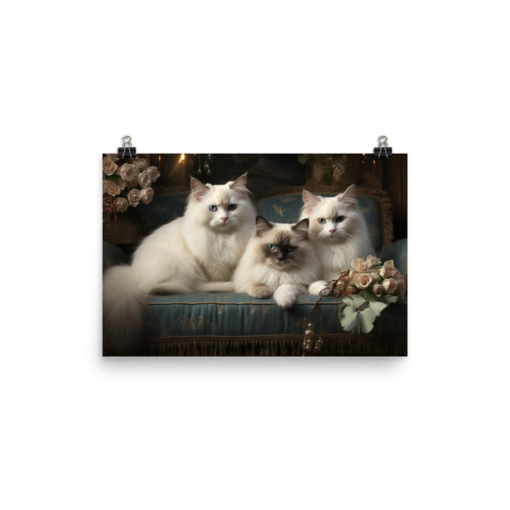 Birman Photo paper poster - PosterfyAI.com