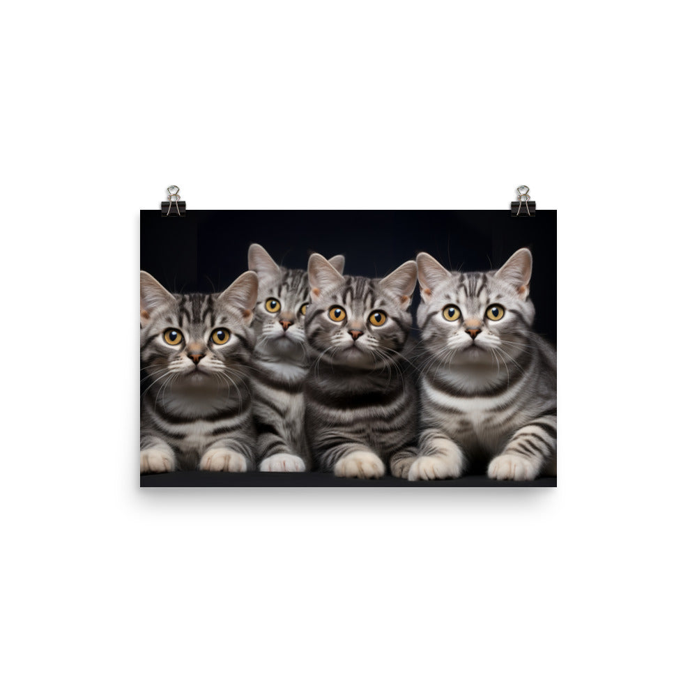 American Shorthair Photo paper poster - PosterfyAI.com