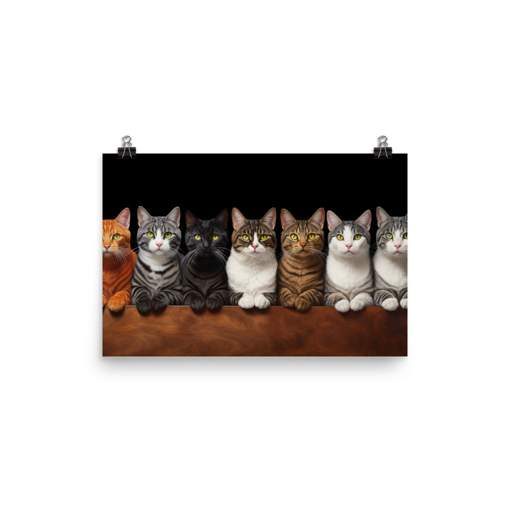 American Shorthair Photo paper poster - PosterfyAI.com