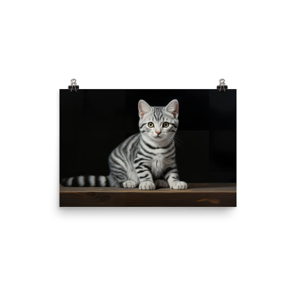American Shorthair Photo paper poster - PosterfyAI.com