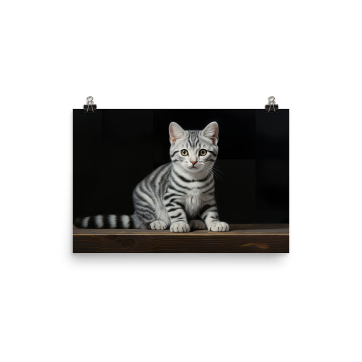 American Shorthair Photo paper poster - PosterfyAI.com