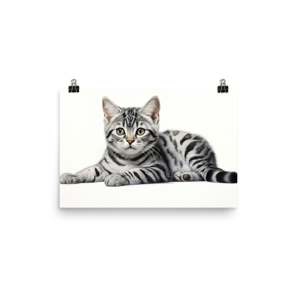 American Shorthair Photo paper poster - PosterfyAI.com