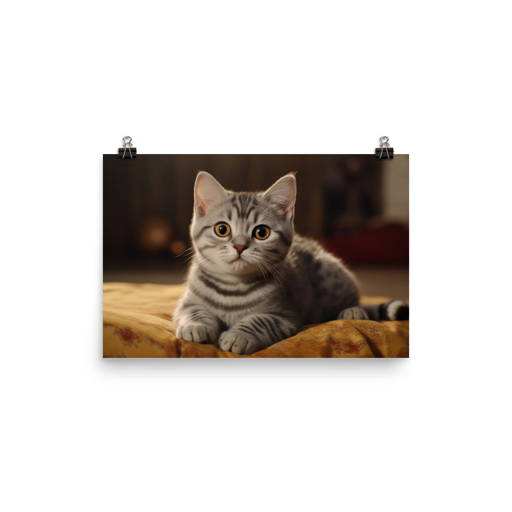 American Shorthair Photo paper poster - PosterfyAI.com