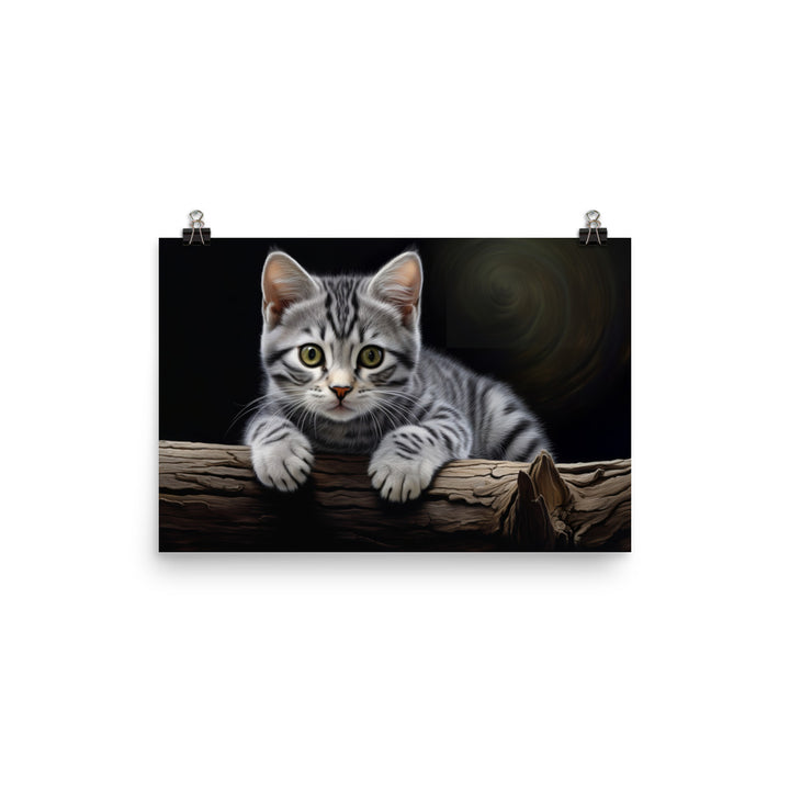 American Shorthair Photo paper poster - PosterfyAI.com