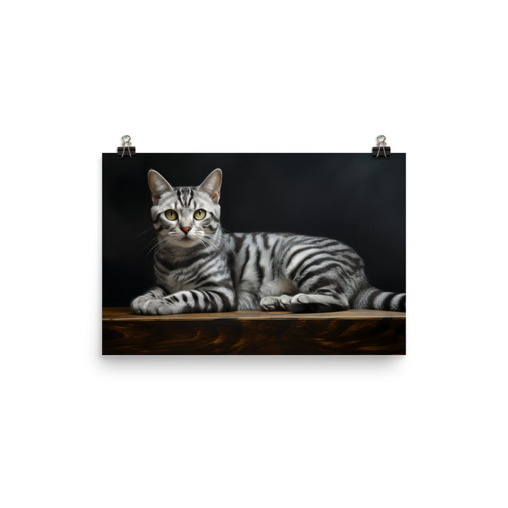 American Shorthair Photo paper poster - PosterfyAI.com