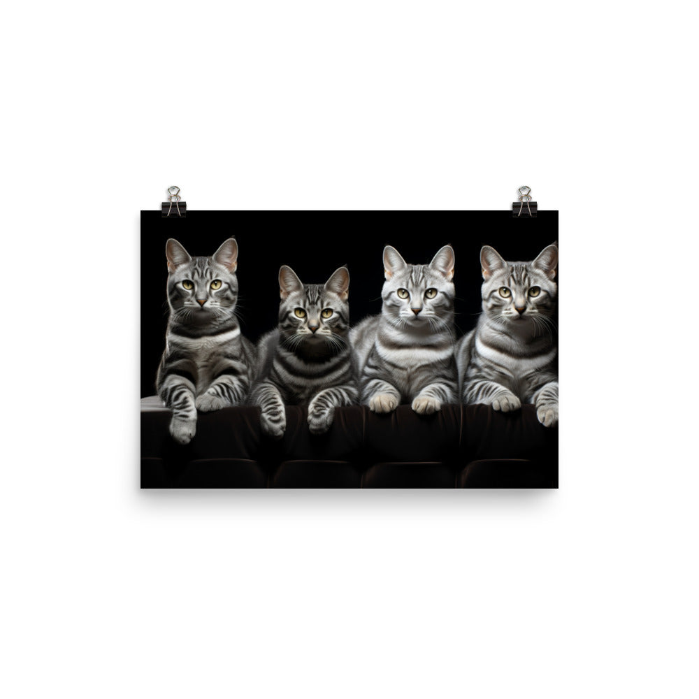 American Shorthair Photo paper poster - PosterfyAI.com