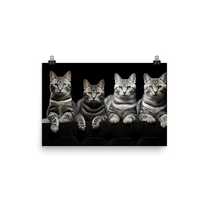 American Shorthair Photo paper poster - PosterfyAI.com