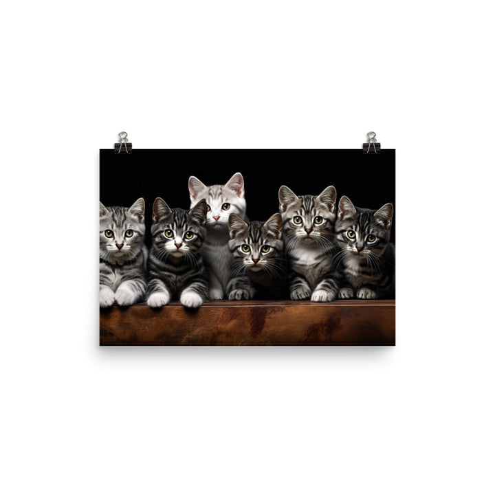 American Shorthair Photo paper poster - PosterfyAI.com