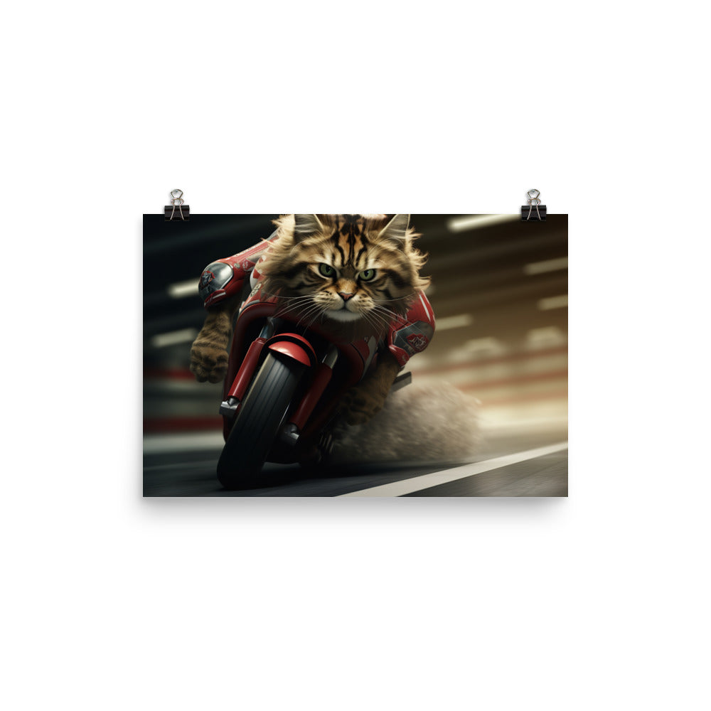 Maine Coon Superbike Athlete Photo paper poster - PosterfyAI.com