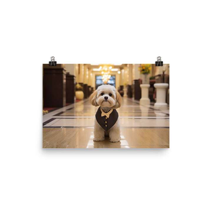 Lhasa Apso Hotel Staff Photo paper poster - PosterfyAI.com