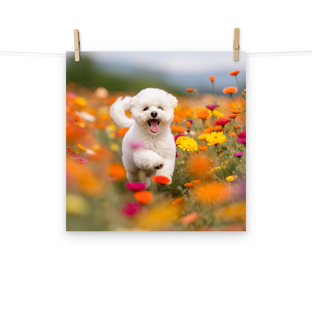 Bichon Frise Photo paper poster - PosterfyAI.com