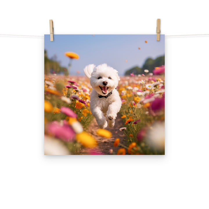 Bichon Frise Photo paper poster - PosterfyAI.com