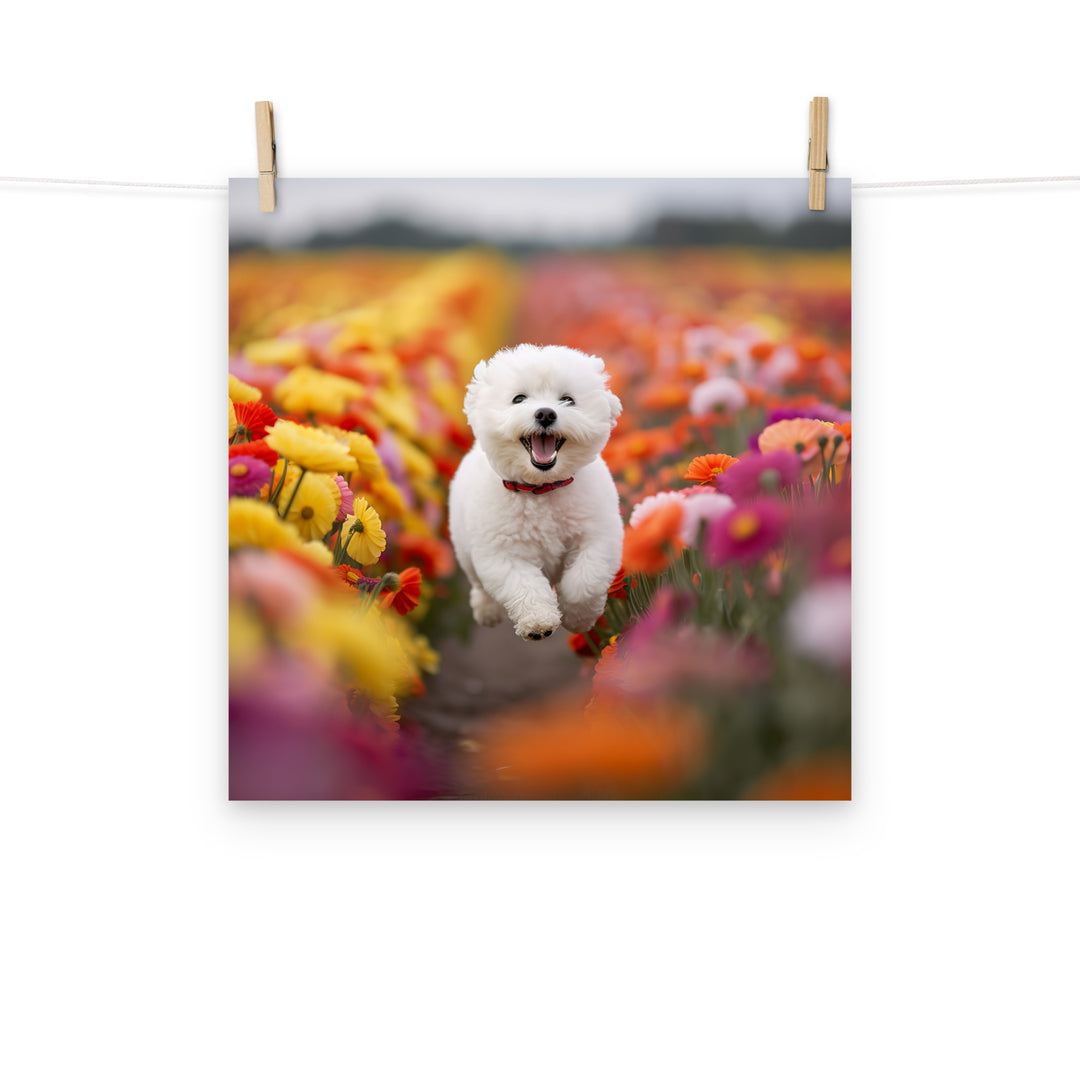 Bichon Frise Photo paper poster - PosterfyAI.com