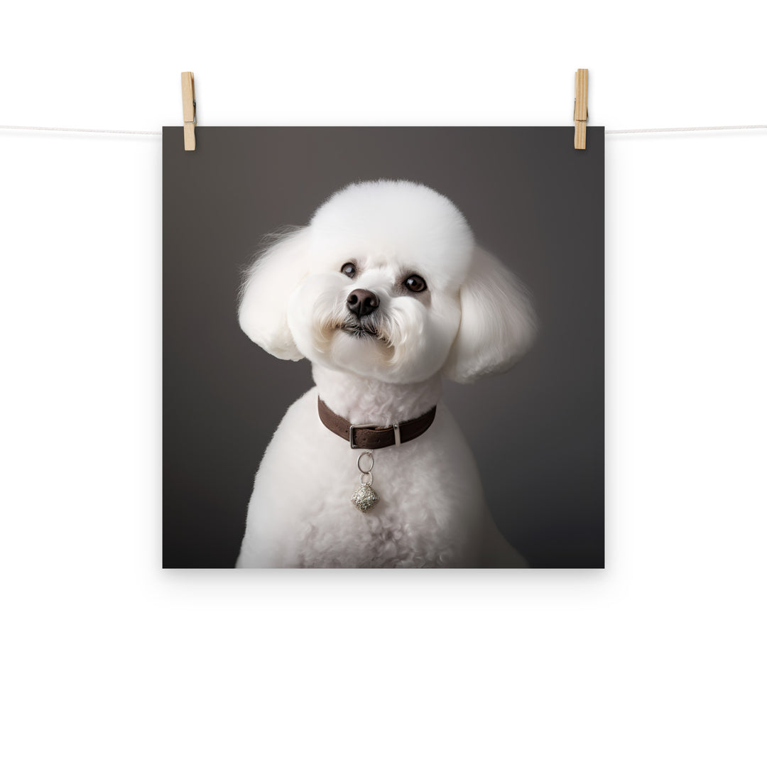 Bichon Frise Photo paper poster - PosterfyAI.com