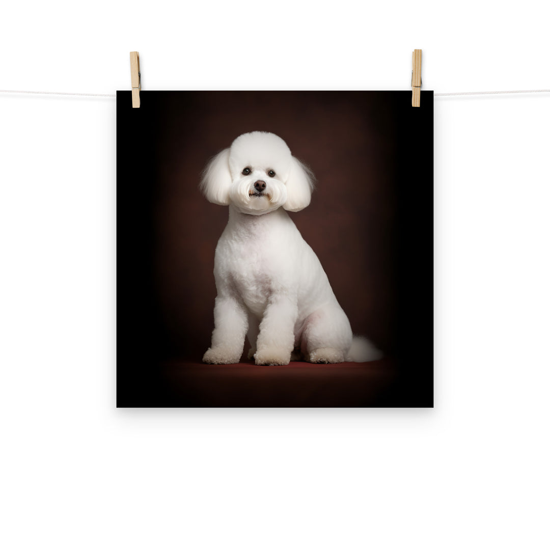 Bichon Frise Photo paper poster - PosterfyAI.com