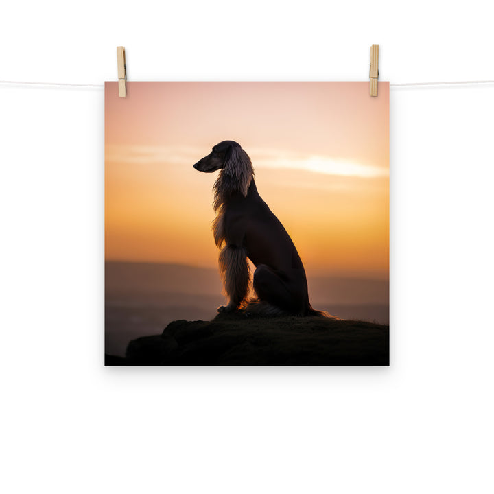 Afghan Hound Photo paper poster - PosterfyAI.com