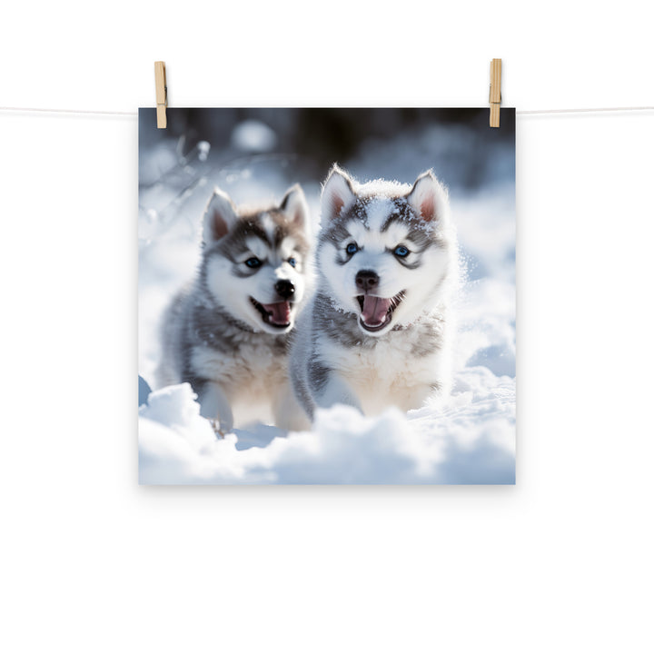 Siberian Husky Photo paper poster - PosterfyAI.com