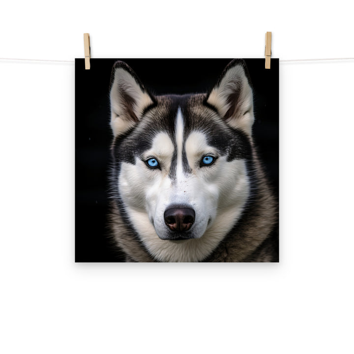 Siberian Husky Photo paper poster - PosterfyAI.com