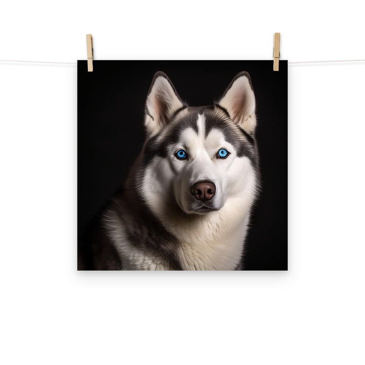 Siberian Husky Photo paper poster - PosterfyAI.com