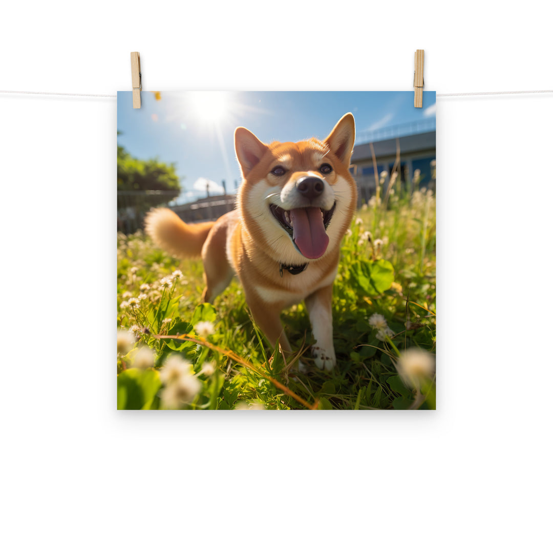 Shiba Inu Photo paper poster - PosterfyAI.com