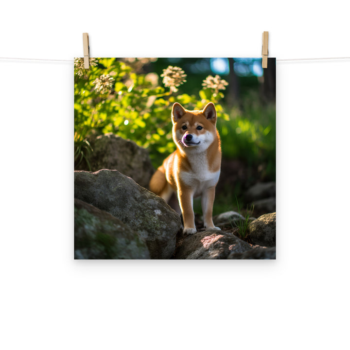 Shiba Inu Photo paper poster - PosterfyAI.com