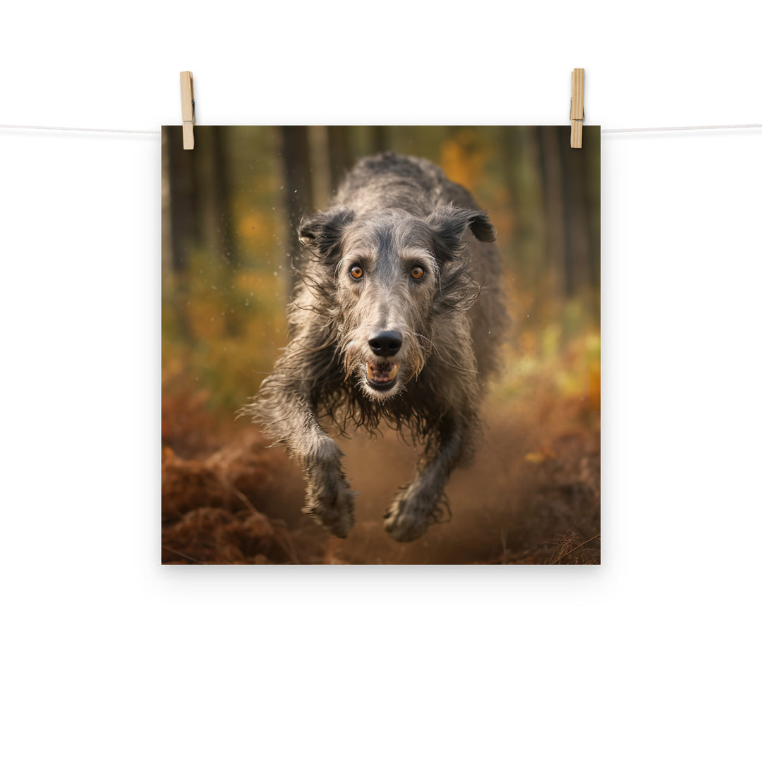 Scottish Deerhound Photo paper poster - PosterfyAI.com