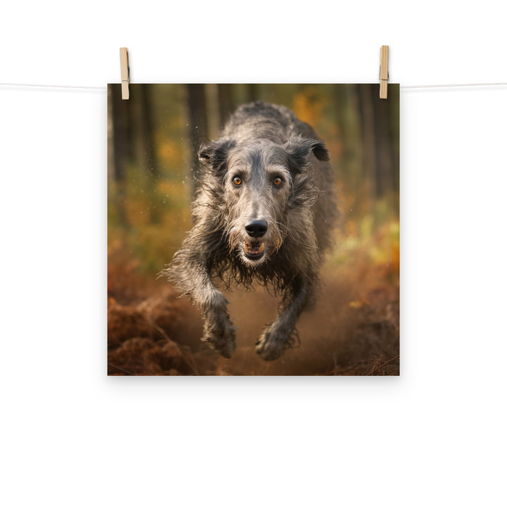 Scottish Deerhound Photo paper poster - PosterfyAI.com