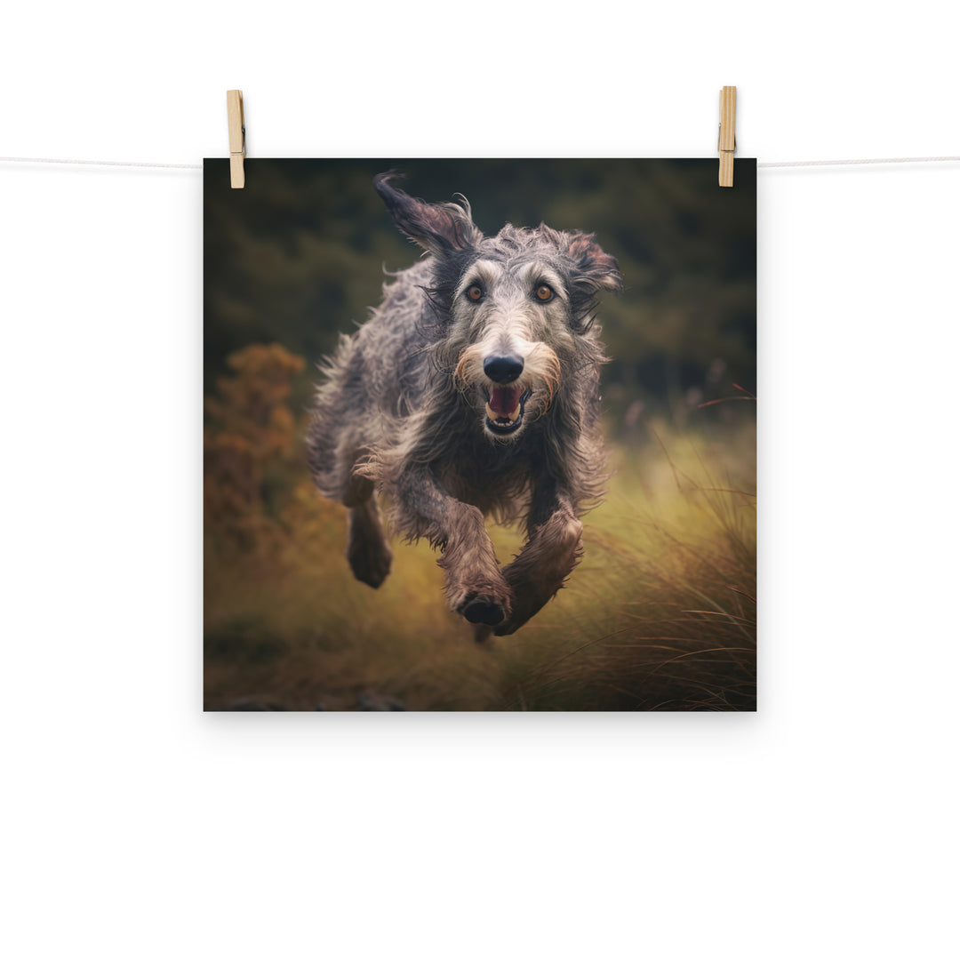 Scottish Deerhound Photo paper poster - PosterfyAI.com