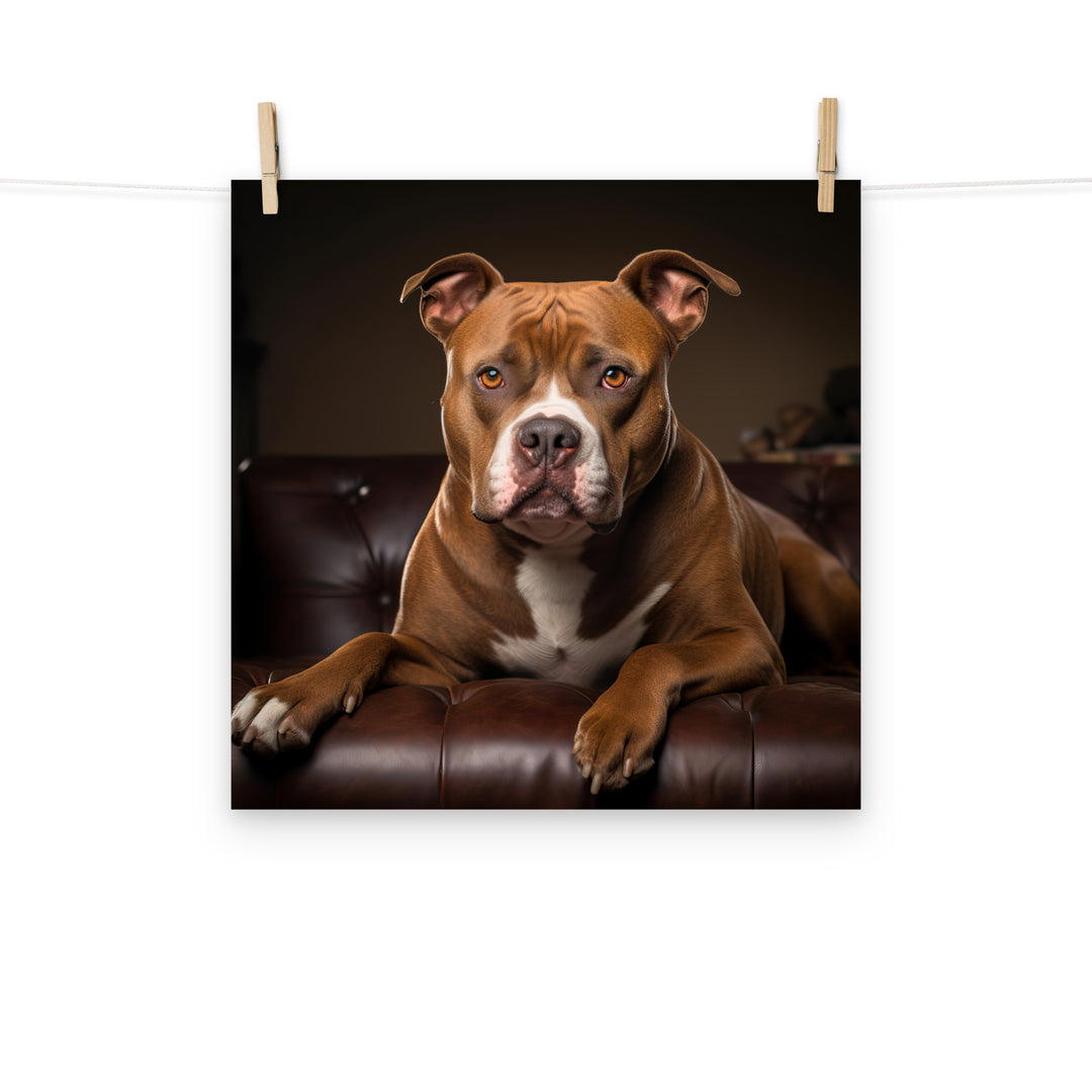 American Staffordshire Terrier Photo paper poster - PosterfyAI.com