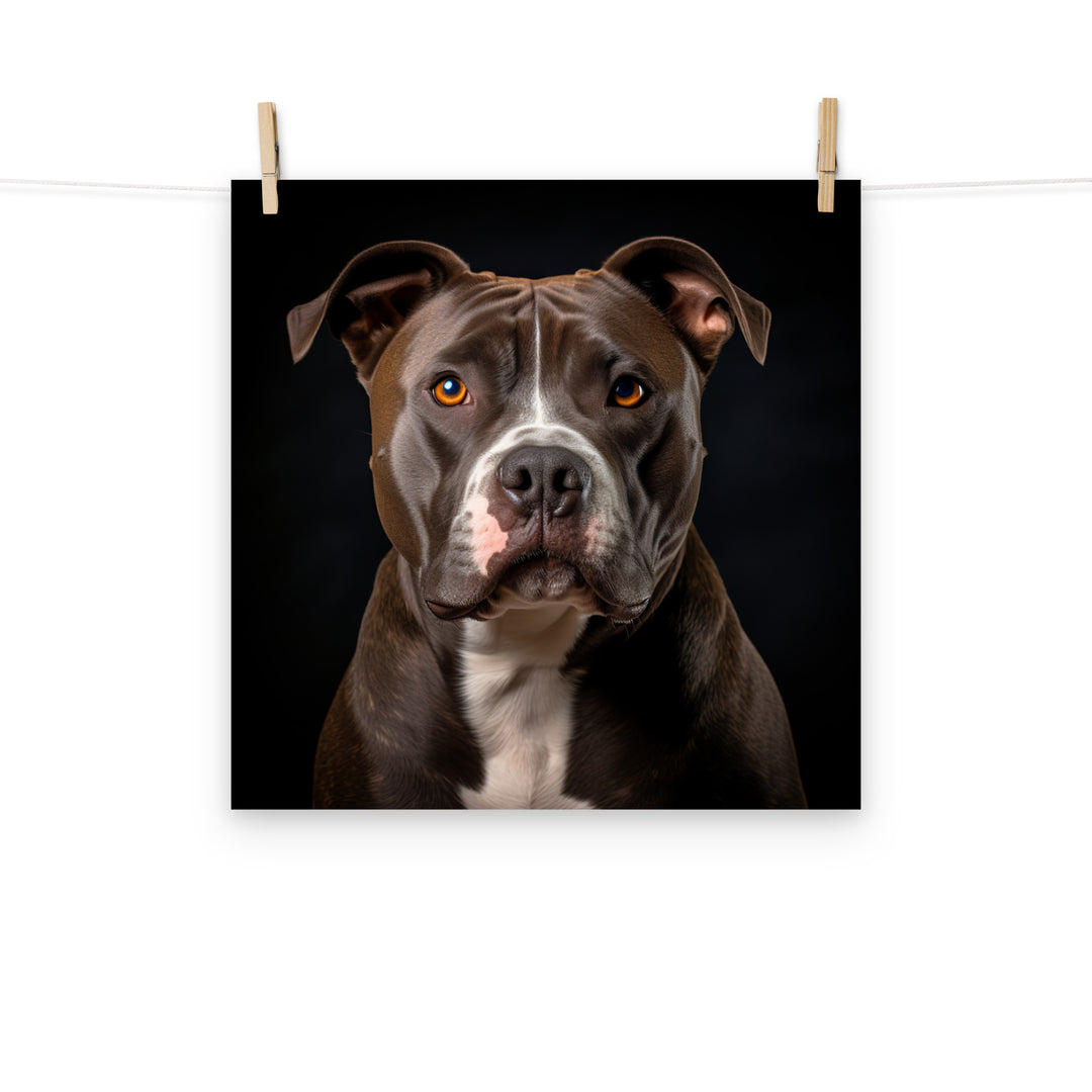 American Staffordshire Terrier Photo paper poster - PosterfyAI.com