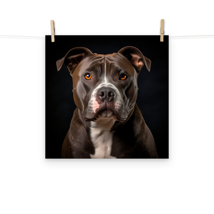 American Staffordshire Terrier Photo paper poster - PosterfyAI.com